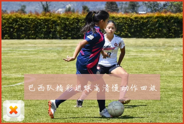 巴西队精彩进球高清慢动作回放