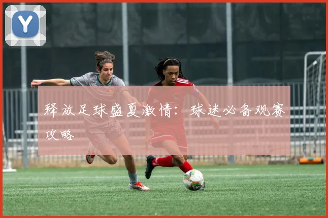 释放足球盛夏激情:球迷必备观赛攻略